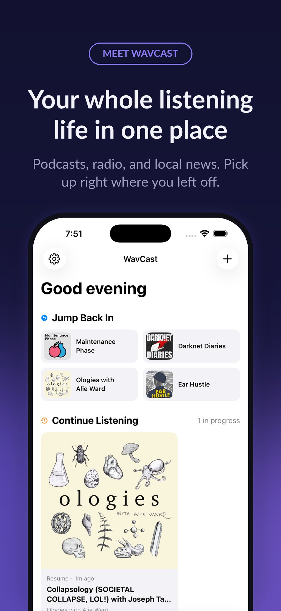 WavCast screenshot 1